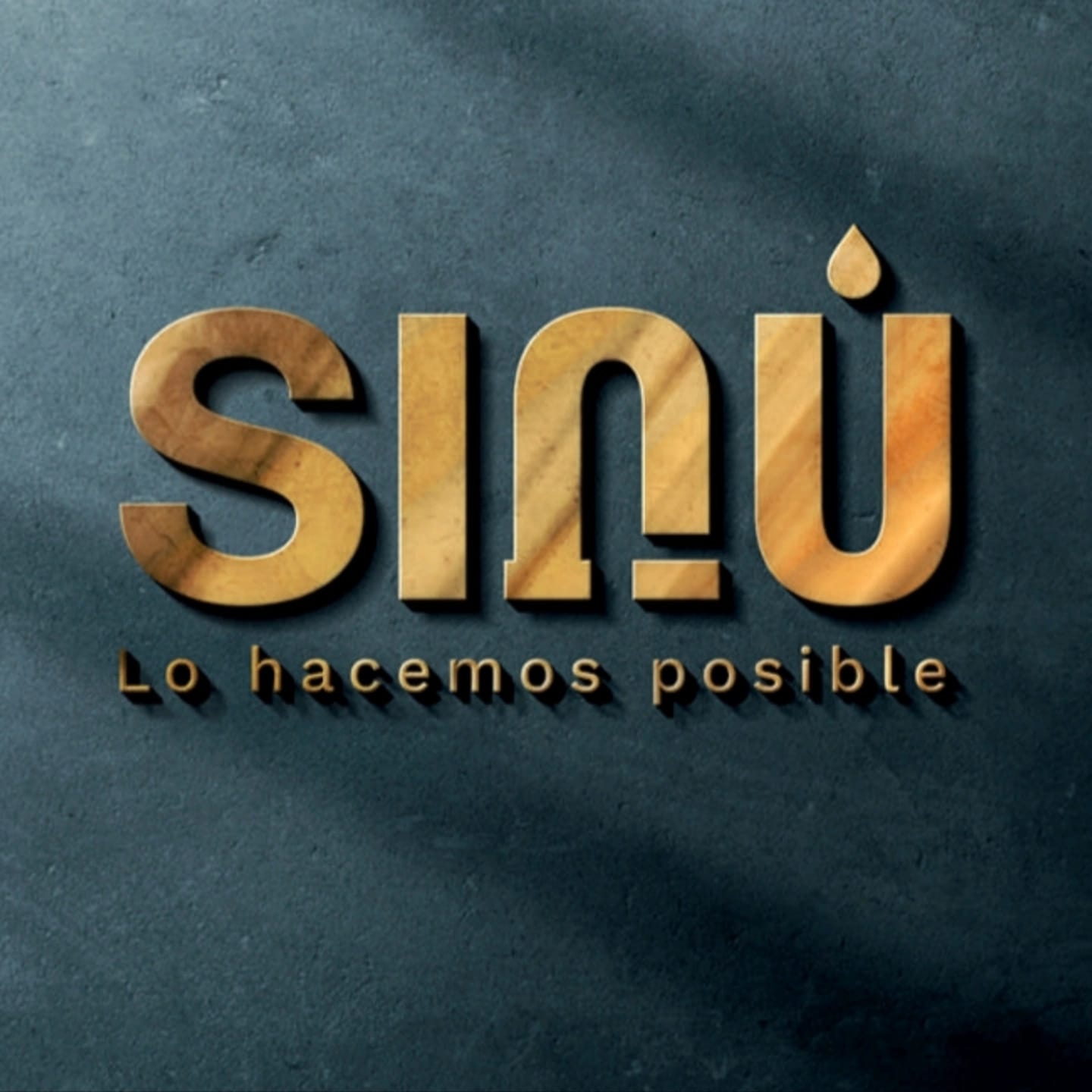 logo SINU DESIGN