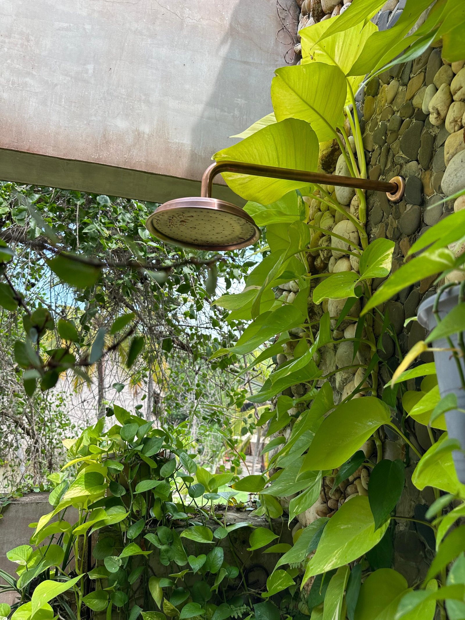 Ducha mezclador vintage en bronce con manijas en cruz Sinú Design