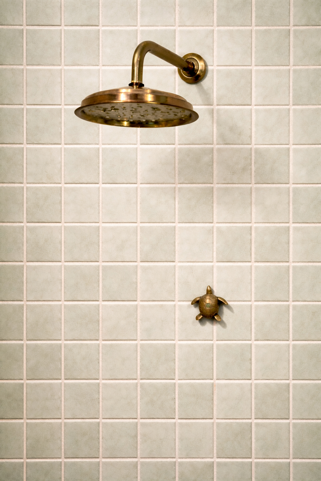 Ducha de agua fría para baño social en bronce Sinú Design